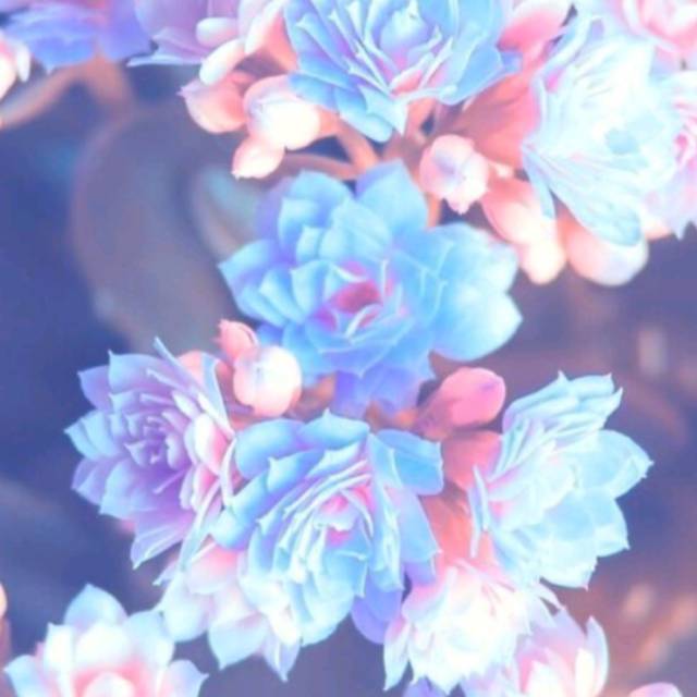 refnitariyantirahmawati