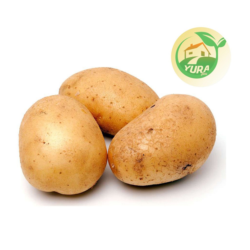 

KENTANG Organik 100% Sayur Segar Organic