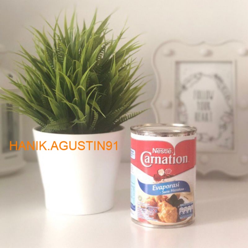 

SUSU EVAPORASI CARNATION 405 GR