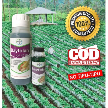 Repack BAYFOLAN 100 ML