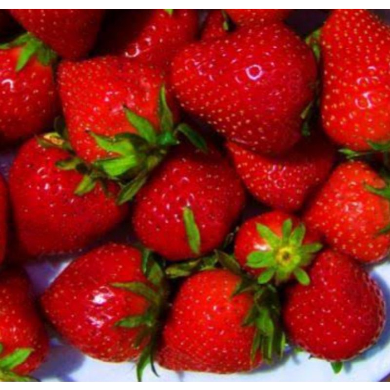 

STRAWBERRY ASLI BANDUNG
