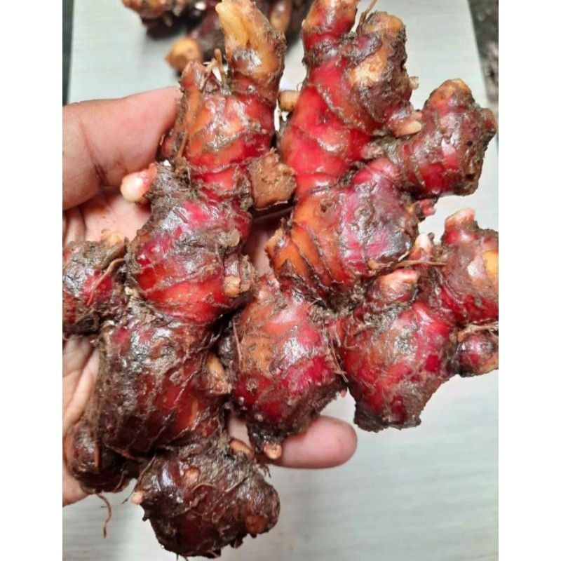 

jahe merah medan sudah dicuci 1kg