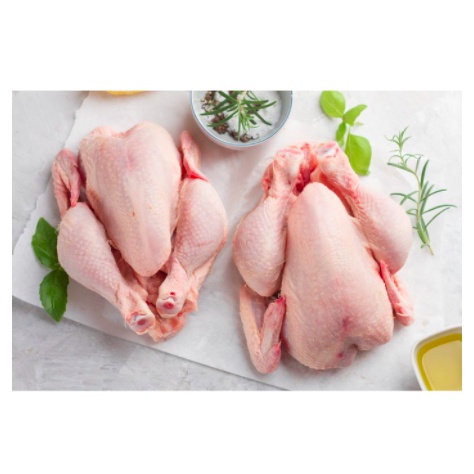 

AYAM UTUH 1EKOR BERAT 900GRAM-1000GRAM