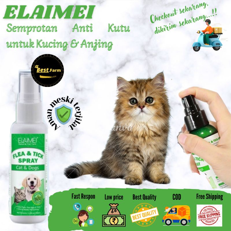 obat semprot kutu kucing anjing
