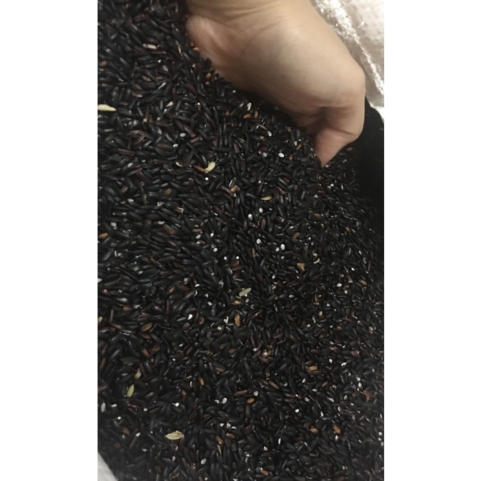 

KETAN-BERAS- BERAS KETAN HITAM (500GR) -BERAS-KETAN.