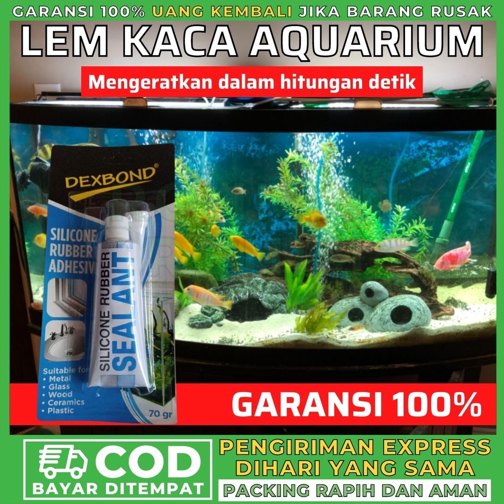 LEM KACA AQUARIUM DEXBOND SEALANT RETAK PEREKAT AKUARIUM BENING DEXTONE SUPER GLUE SEALENT GLASS SIL