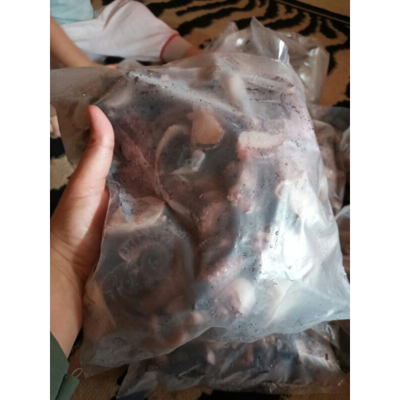 

Gurita/ Octopus frozen