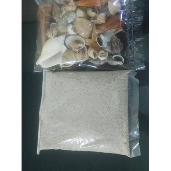 ✵ Aksesoris Cangkang Kerang Dan Pasir Laut Hiasan Dan Kerajinan Tangan ✲