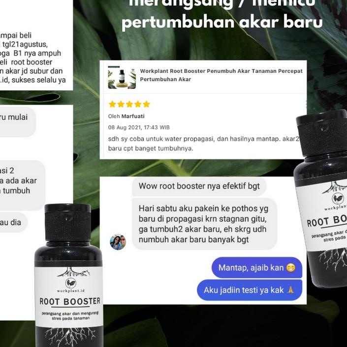 ♞ Workplant Root Booster - Perangsang Akar Penumbuh/ Akar Tanaman Hias 60ml ✯