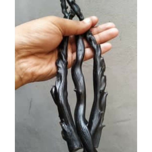 bahan gelang akar bahar