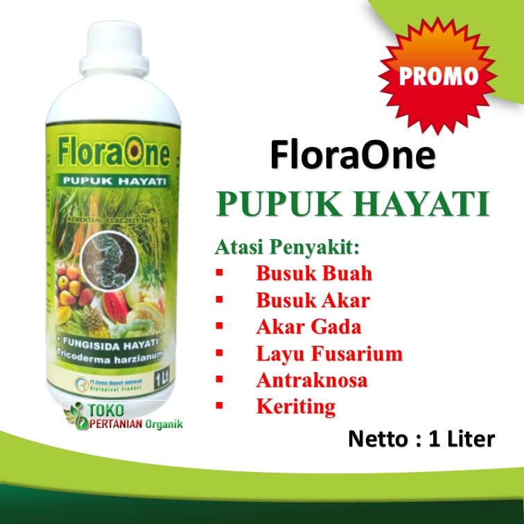 Jual Pupuk Hayati Floraone Cair Penyakit Busuk Buah Cabe Fungisida Tricoderma Anti Layu