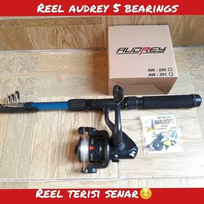 Joran pancing satu set audrey