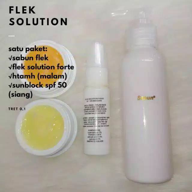 FLEK SOLUTION