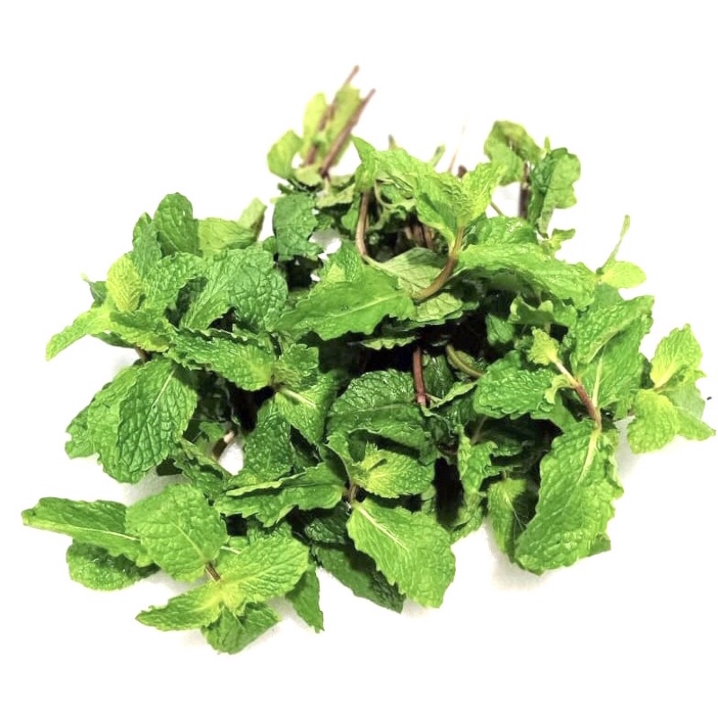 

Daun Mint Segar - 100g