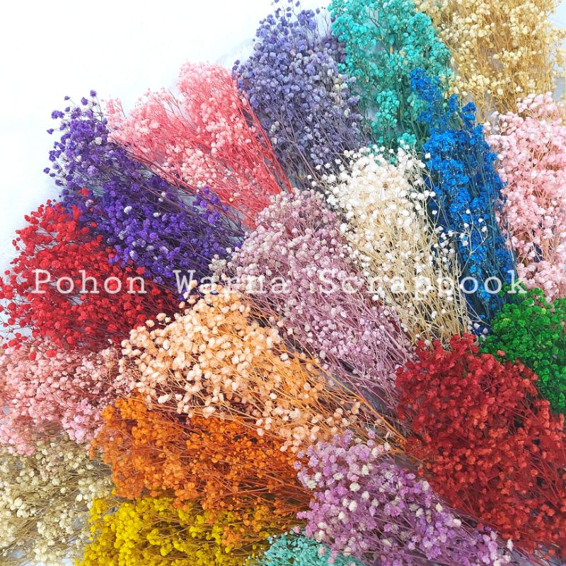 (ECER) PRESERVED FLOWER DRIED BABY BREATH | BUNGA KERING BABY BREATH ASLI