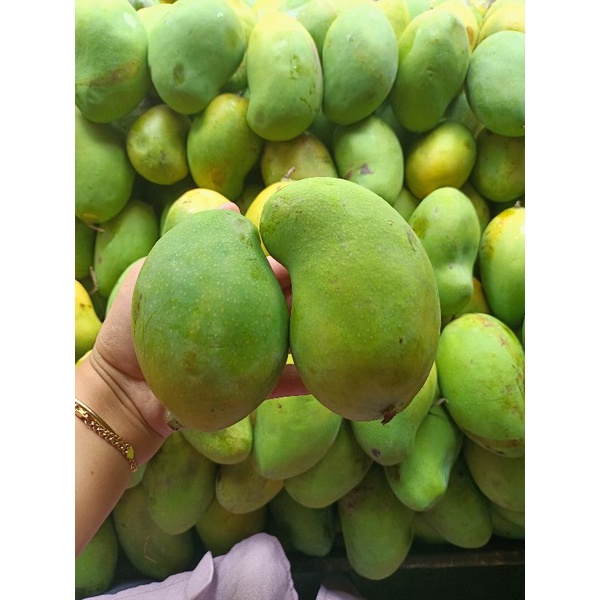 MANGGA HARUM MANIS FRESH 1KG MURAH MERIAH |BUAH FRESH BANDUNG