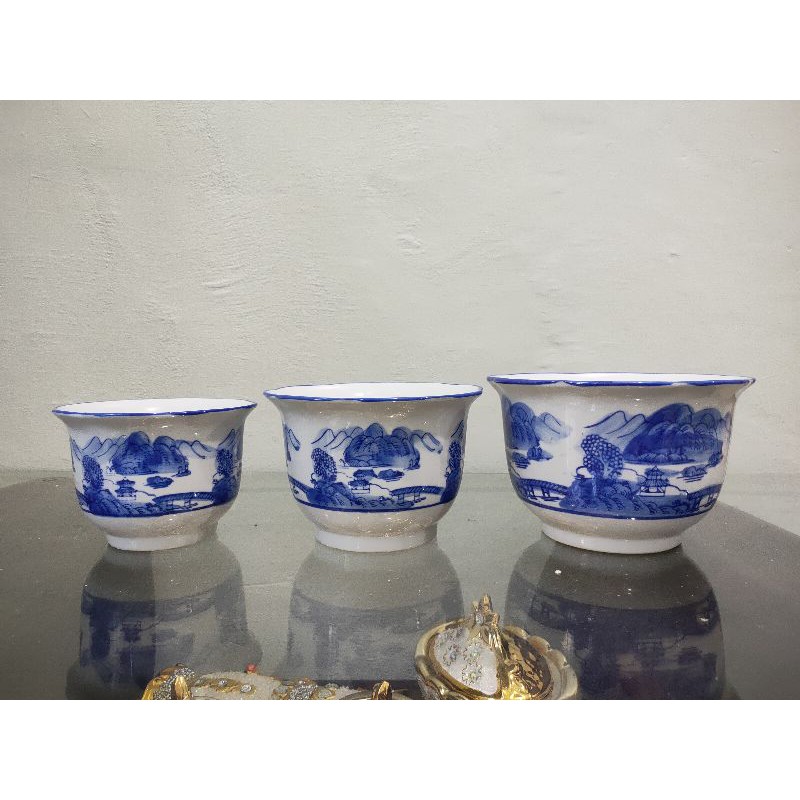 pot bunga keramik putih biru tanaman hidup