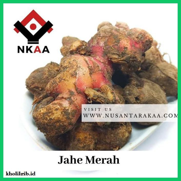 

lanoisidartdrink- jahe merah besar kemasan 1 kg -asliii-bngittt.