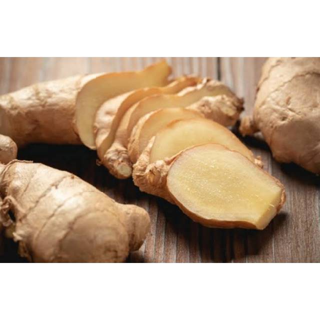 

JAHE PUTIH | GINGGER | JAHE | SAYURAN SEGAR