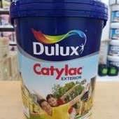 Cat Tembok Dulux Catylac Exterior warna Basic Khaki Galon isi 5kg