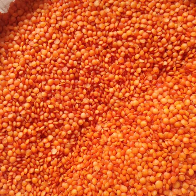 

Masoor Dhal / Red Lentil 1 Kg