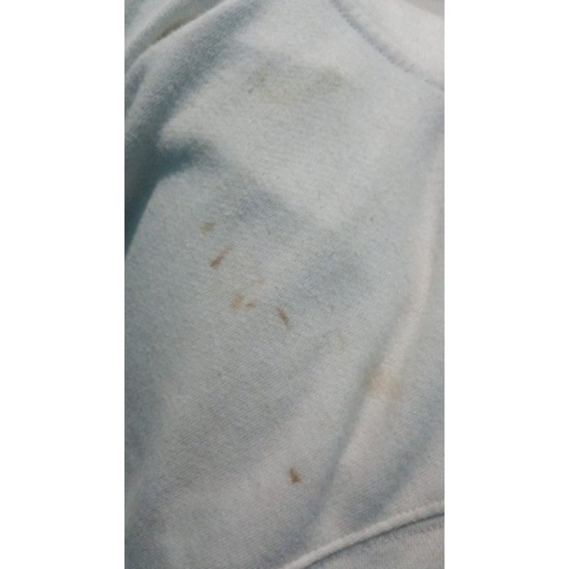 Hoodie Dickies White