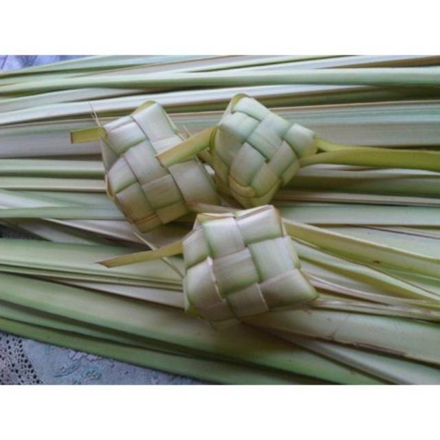 Ketupat lebaran | paket 10 buah kulit ketupat segar