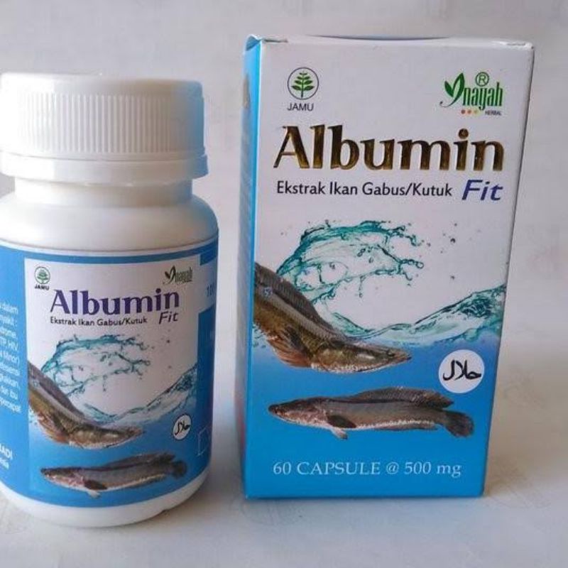 KUTUK GABUS KAPSUL ALBUMIN FIT – MEMPERCEPAT PENYEMBUHAN LUKA PASCA OPERASI