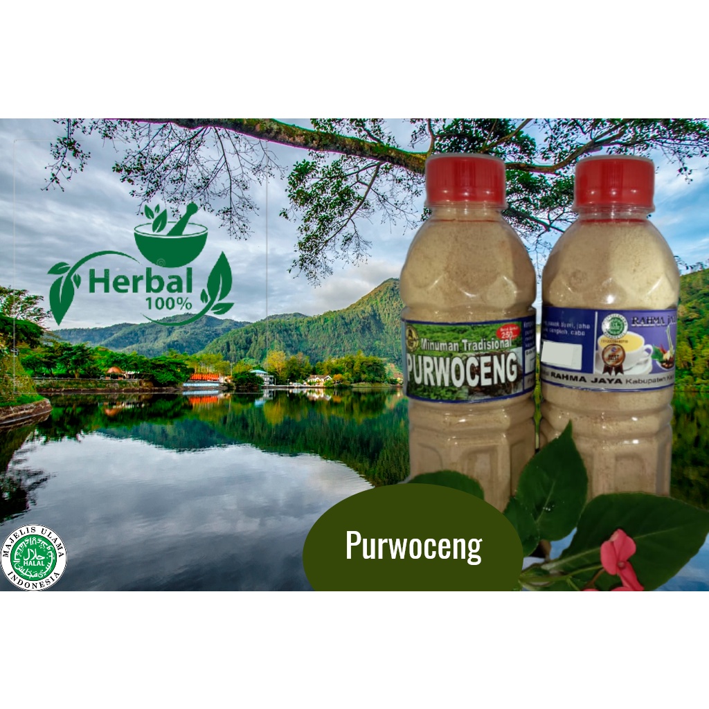 

Purwoceng Bubuk