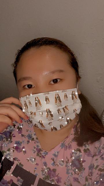 Masker Hush Puppies Original Non Medis