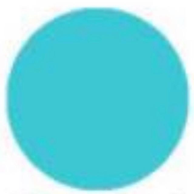 CAT SEPATU PIN PAINT 100ml -  CAT SEPATU CANVAS SUDE NUBUCK KANVAS - SEMIR SEPATU PERMANEN-Biru Muda