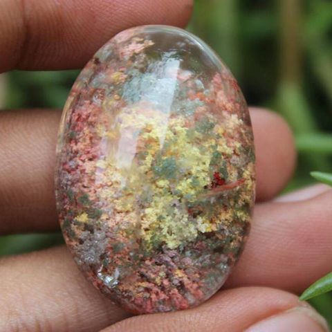 BATU PHANTOM ROCK/KECUBUNG KARANG (FULL KARANG) BIG SIZE