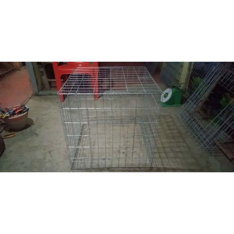 TENGGARAN AYAM SERAMA TENGGARAN AYAM KATE TENGGARAN AYAM ALAS