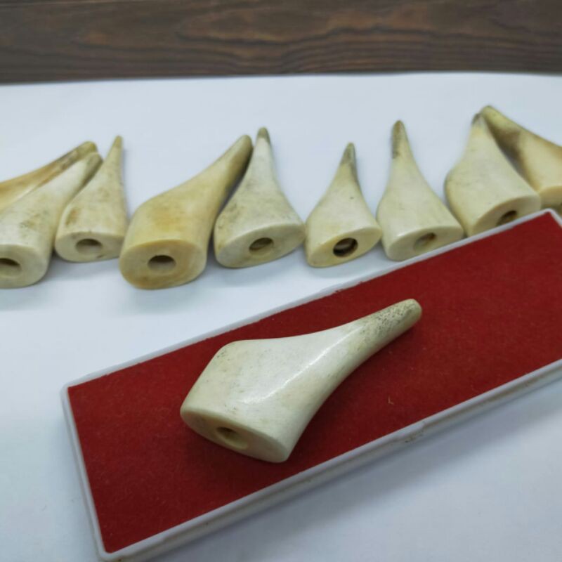 pipa rokok tulang murah