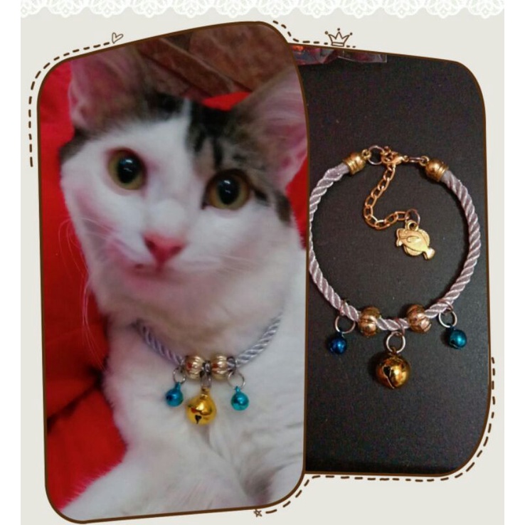 kalung kucing warna silver