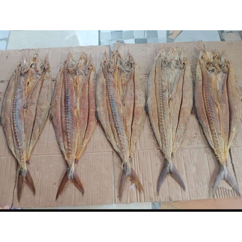 

Ikan Telang Tenggiri
