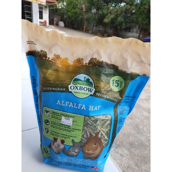 MAKANAN KELINCI ALFALFA HAY
