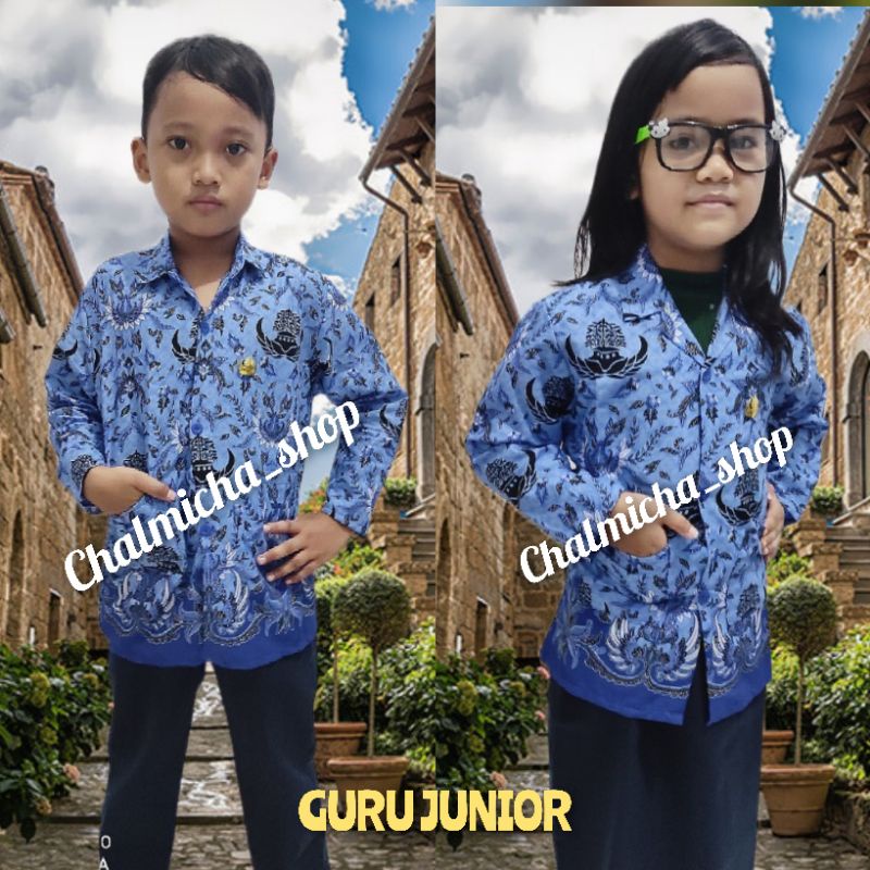 Baju Guru Anak Kostum Seragam Guru ASN Korpri PNS