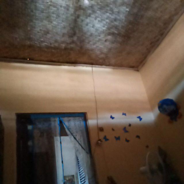 Guling Karakter Jumbo