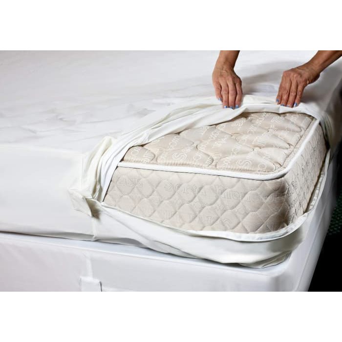 Fully Encased Bed Bug Proof Mattress Protector Size Single S1 3114 Shopee Indonesia