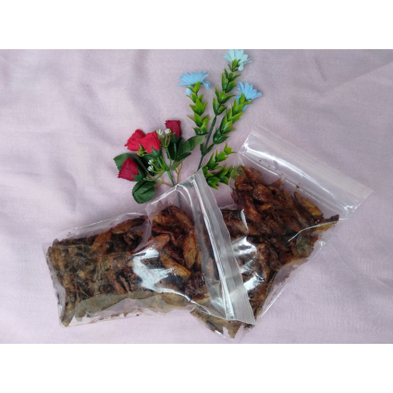 

Lumpia Coklat