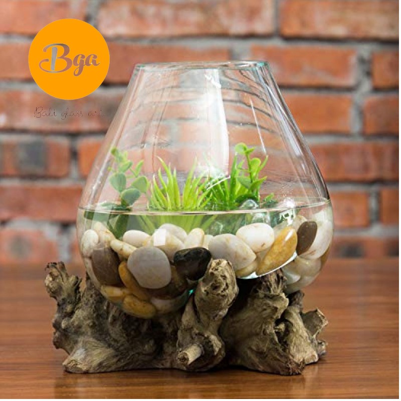 Aquarium alas kayu kaca tiup fas vas bunga kaca aquascape Aquarium alas kayu kaca tiup fas vas bunga kaca aquascape
