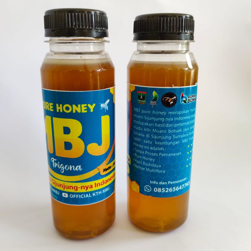 

MBJ Madu lebah trigona