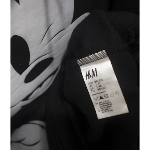 HODIE NASA MICKY MOUSE