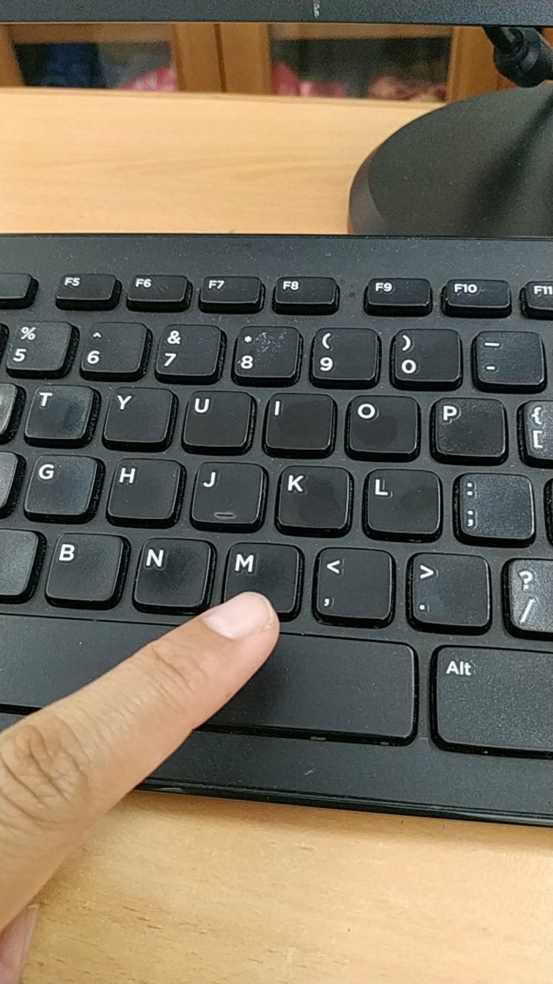 Sapu Ijuk Kipas Besar 2 Macan