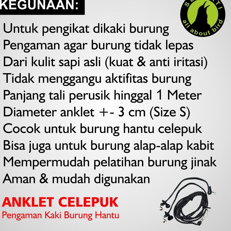ANKLET CELEPUK ANGKLET CELEPUK TALI BURUNG  ELANG OWL ALAP ALAP KABIT KAEL BOP KNOTS S ANGBH Laris