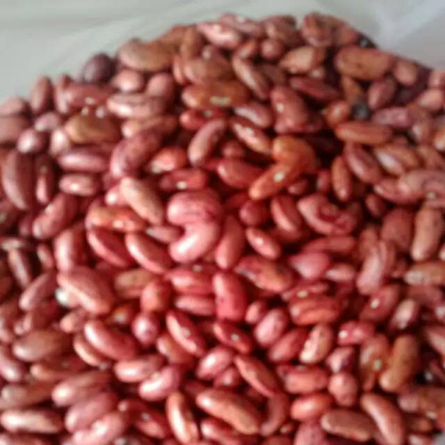 

Kacang merah kering.