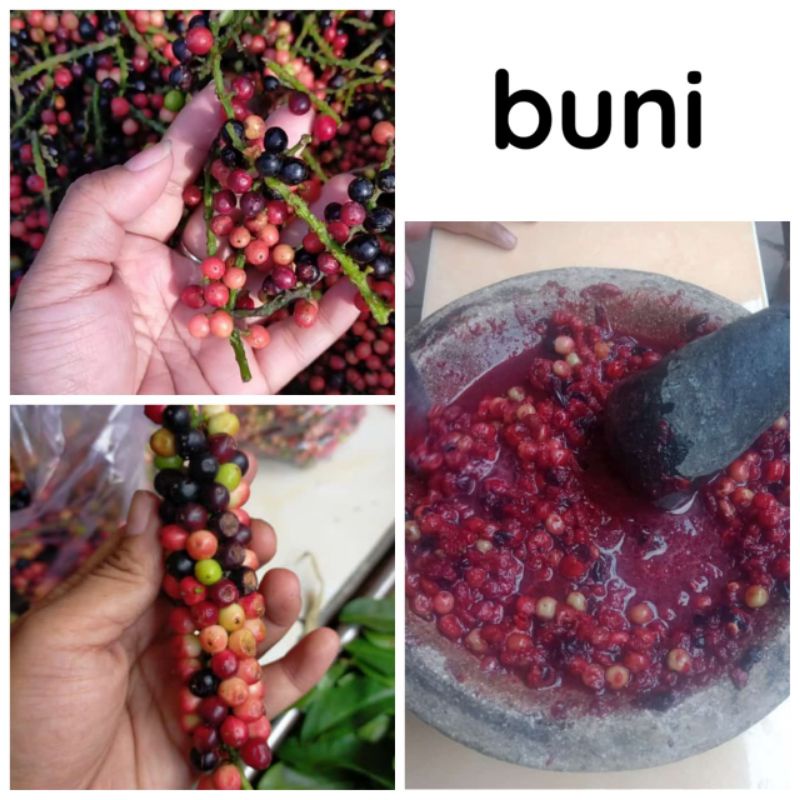 

Buni.