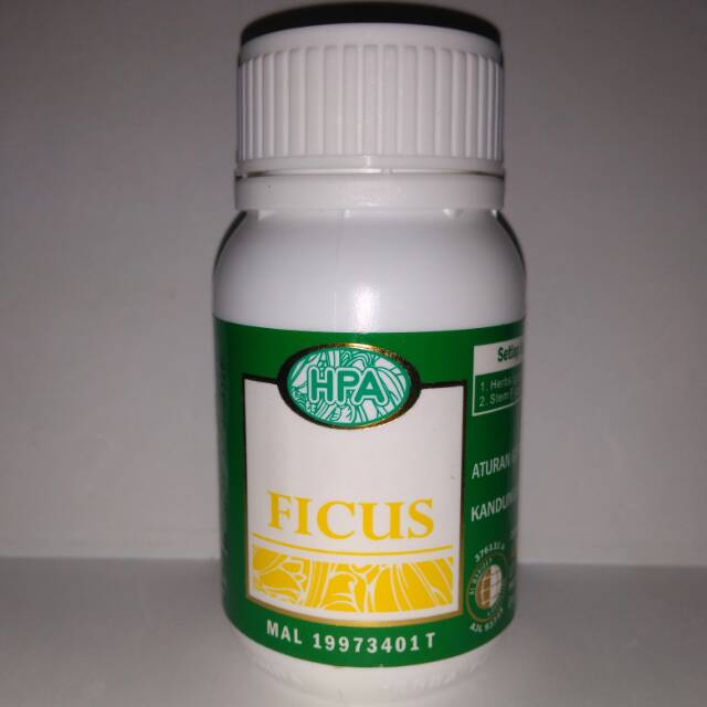 

Ficus kapsul herbal hpa 75 butir obat herba wasir ambeien