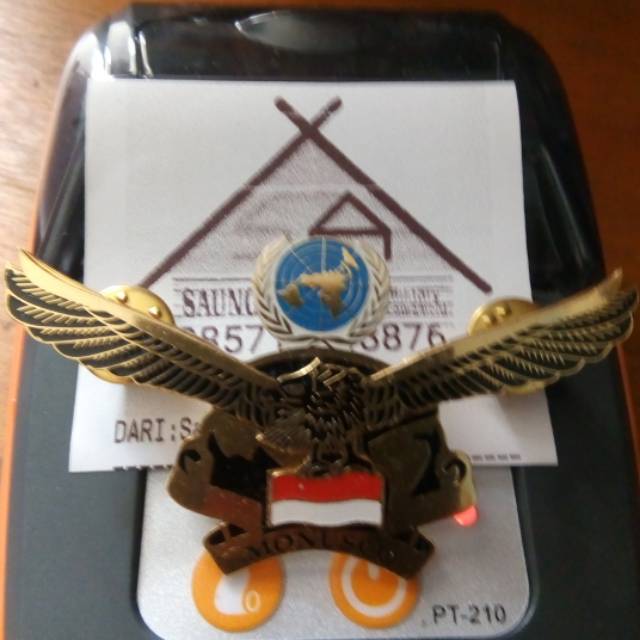 Brevet wing monusco gold luxxx
